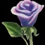 Placeholder: purple flower, glossy anime