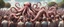 Placeholder: surreal outdoor summer crowd scene, everybody has octopus-tentacle arms, very high detail, photorealistic