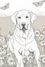 Placeholder: Portrait of a golden lab in a lively field of marigolds, mature coloring artwork, contour, vector, clean line art, white background, detailed, black and white, in the style of kalamkari design