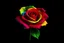 Placeholder: Create small red rainbow rose colour and colour black background