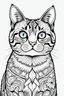 Placeholder: portrait of cat, no details, for colouring book, no colour, lineart, with mandala background, no white background