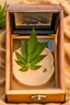 Placeholder: a close up imprint of a neat male foot print with 5 toes within sand,the sand is within a glass box which is filled half way with the sand, around the imprint are small weed plants, guitar plectrums,a.leather band with piece sign, green round sunglasses, on the corner of the glass box hangs a tasta beanie, on the outside on the glass is a metal nameplate with "Bob Marley" written on it