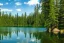 Placeholder: Find tranquility in the calm waters of a serene lake surrounded by tall trees and lush greenery