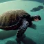 Placeholder: Turtle deep water lights night, unreal 5, octane render, cinema4d, redshift render, hyper realistic, cenematic, vibrancy, synthwave, retouch, centered, dynamic lighting, dramatic lighting, 4k, highly detailed, attractive beautiful, realistic, virtual reality, epic composition, holographic,