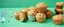 Placeholder: carpenter dog made of muffins