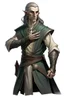 Placeholder: middle aged high elf ranger wearing medieval clothes with hands by his side