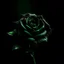 Placeholder: Create black rose dark green background