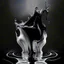 Placeholder: AI black body glass water art realisticv2 surrealism 4k resolution white blackground white