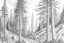 Placeholder: Norwegian forest, woodland- Pencil drawing, illustrative, graphite, crosshatching