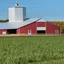 Placeholder: low angle scenic photo of a modern Dairy farm