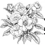 Placeholder: Camilla buds, Camilia flowers, gentle flower bunch, white background, 2d, lineart, black line