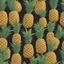 Placeholder: Pineapple concept analysis