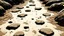 Placeholder: Forest with trees, muddy dog footprints in the path