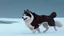 Placeholder: Alaskian Malamute running through the snow, furry style, shamanism, fish