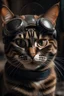 Placeholder: CAT WITH WELDING MASK