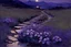 Placeholder: Night, purple flowers, pathway, mountains, rocks, little puddle, theodore robinson impressionism painting