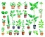 Placeholder: Vector plants and herb set illustration. Watercolor white backdrop