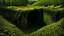 Placeholder: Jungle. Lake. Tunnel.