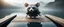 Placeholder: close up on huge dented glowing ghost transparent rat racoon gremlin in designer clothes in fast boat with googly eyes, raised by ninja necromancer in the wild, on wooden bridge by lake in surreal reflecting stone chrome landscape, background motion blur, volume light fog, rays, 4d maze
