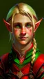 Placeholder: A young elf with blond hair in a single braid, green eyes and a small smile. He is dressed in an artist's costume mixing red and black as the main color.