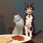 Placeholder: A cat having food