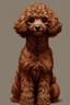 Placeholder: a small brown poodle with curly fur, high quality, highres, gif, on a dark background