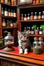 Placeholder: Kitten in apothecary