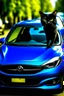 Placeholder: eine schwarze katze fährt einen blauen mazda 2 von 2016