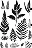 Placeholder: fern logo, minimal vector style, black in white background