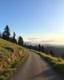 Placeholder: The road to heaven
