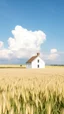 Placeholder: White house in a white field of white barley with a white clouds in the background,