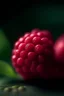 Placeholder: macro photo of raspberry, shot on Hasselblad h6d-400c, zeiss prime lens, bokeh like f/0.8, tilt-shift lens 8k, high detail, smooth render, down-light, unreal engine, prize winning