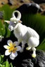 Placeholder: a gemse goat shape as a gemseroot flower