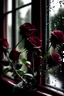 Placeholder: maroon roses with water drops in front of window