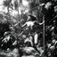 Placeholder: [photo by helmut newton] Swinging in on vines with deadly precision, the Amazon swiftly overpowered the bikini-clad warrior, knocking her down with swift kicks and powerful blows. The Space Girl, caught off guard and outmatched, struggled to defend herself as the Amazon relentlessly pressed her advantage.Lost in the sweltering heat of the jungle, the Space Girl found herself at the mercy of the primitive native who seemed to have the upper hand in the brutal confrontation.