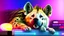 Placeholder: Fluffy Hyena sleeping comfy on a doggy bed, in a colorful and dimly lit gaming PC room, filled with neonlights, night time, atmospheric, detailed.