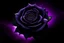 Placeholder: Create black rose and purple background