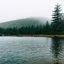 Placeholder: A polaroid photo of a group of fir trees in the background and a high hill in the distance. A person. A lake. The surface below is in a pastel color. Fog is present.