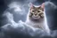 Placeholder: A cat shaped cloud