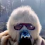 Placeholder: subject = (Yeti in a mask) background = (wildfires, mountains, fires, smoke, disaster)