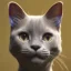 Placeholder: Ear tipped cat