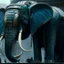 Placeholder: xenomorph elephant hybrid, photorealism, movie screen capture, horror, sci-fi, retrofuturism,