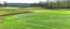 Placeholder: A gray golf course field painted by Frank Lloyd Wright