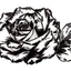 Placeholder: A rose, black & white line art