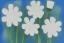 Placeholder: Abstract flowers