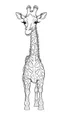 Placeholder: outline art for cute giraffe coloring pages, white background, sketch style, full body, only use outline, clean line art, white background, no shadows and clear and well