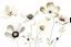 Placeholder: simples flowers in neutral colors on a white background, making the focus on the flowers who have a bit of color. hyper realistic