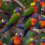 Placeholder: Rainbow Lorikeet