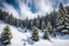 Placeholder: snow covered pine forest in the mountain