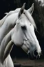 Placeholder: un caballo blanco